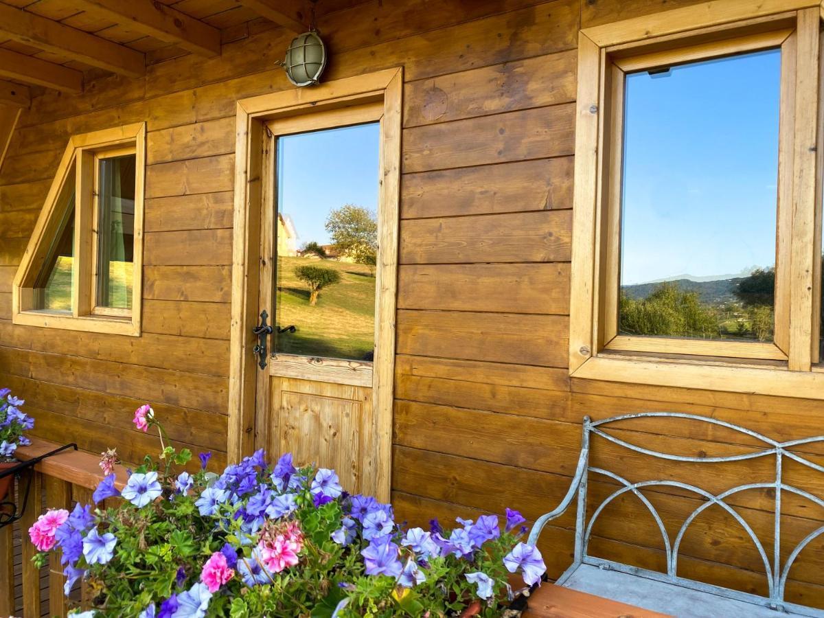 Agri Camp Dolomiti Lägenhet Belluno Exteriör bild