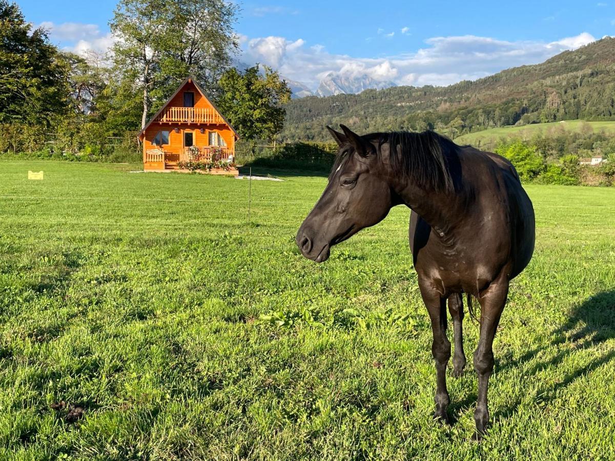 Agri Camp Dolomiti Lägenhet Belluno Exteriör bild