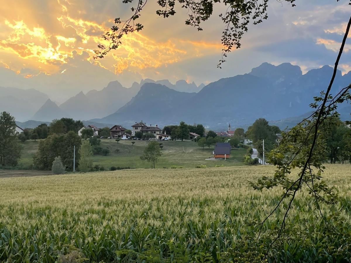 Agri Camp Dolomiti Lägenhet Belluno Exteriör bild