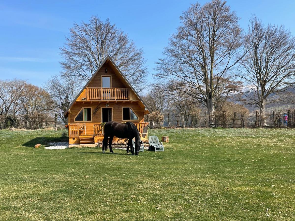 Agri Camp Dolomiti Lägenhet Belluno Exteriör bild